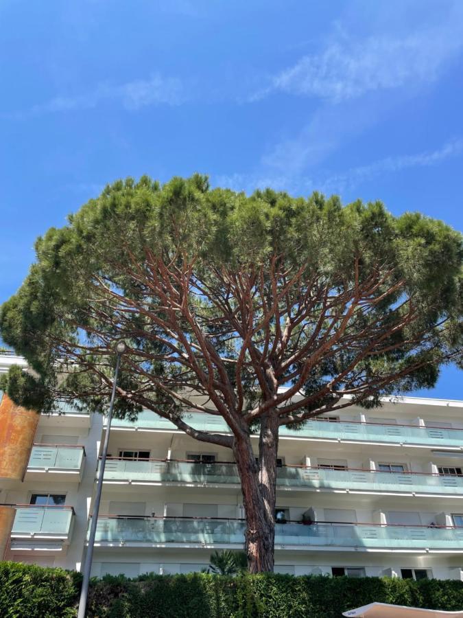 Superbe Studio Lumineux Sur Cannes Avec Terrasse ! A Quelques Minutes De La Celebre Rue D'Antibes ! Exteriér fotografie